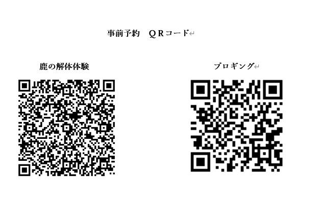 鹿の解体体験