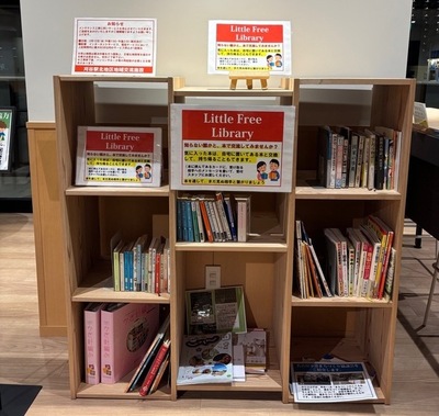 Little Free Library