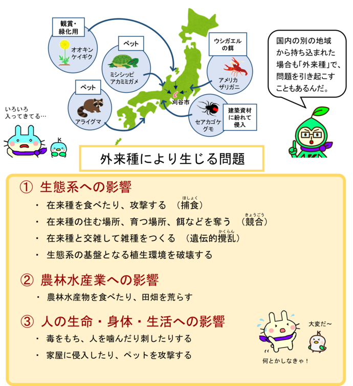 外来種の問題
