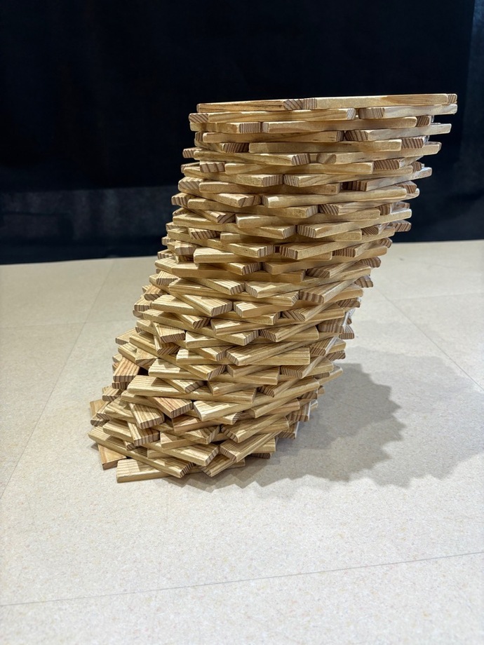 写真：カプラ作品（ピサの斜塔）